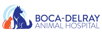 Link to Homepage of Boca Delray Animal Hospital