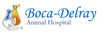 Link to Homepage of Boca Delray Animal Hospital